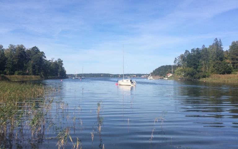 Lugn Östersjövik med segelbåt i horisonten. Foto: Betty Gubri
